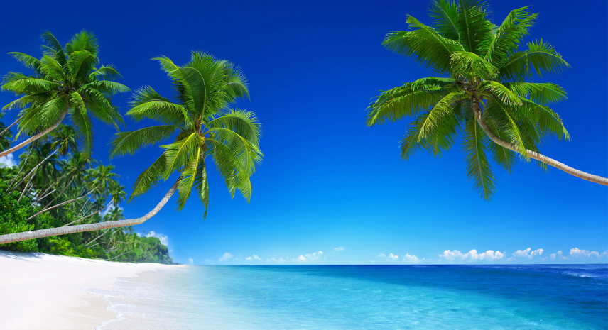 5. Palolem Beach